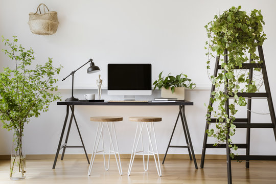 Computer desktop on desk with lamp in white freelancer's interior with plants and stools. Real photo