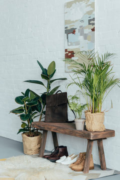 Different shoes under wooden bench in corridor, potted plants on floor