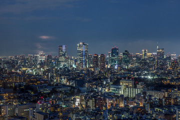 Naklejka premium Wgląd nocy Tokio