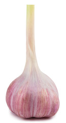 Garlic isolated on white background with clipping path