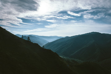 Morning mist above valley between silhouettes of mountain slopes on horizon in backlighting. Blue glow in cloudy sky. Forest on mountainside. Atmospheric mountain landscape of majestic nature.