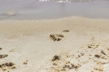 footprint on the sand