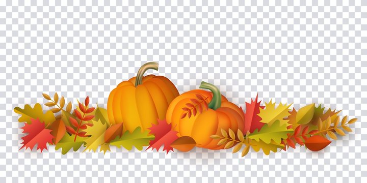 Autumn leaves and pumpkins pattern on transparent background. Seasonal floral maple oak tree orange leaves with gourds for thanksgiving holiday, harvest decoration vector design.