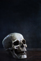 Halloween human skull in front of black background with space for text.