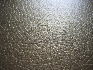 The texture of the skin is Golden gray-brown, close-up.