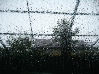 Window glass in raindrops, behind which the metal frame of the roof and tree branches are visible.