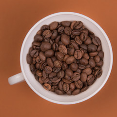 Coffee seeds on a colored background
