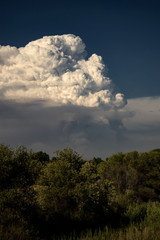 A Pyrocumulus cloud rises over the Cranston Fire in Idyllwild, California on July 25, 2018