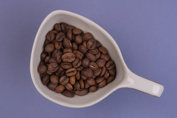 Coffee seeds on a colored background