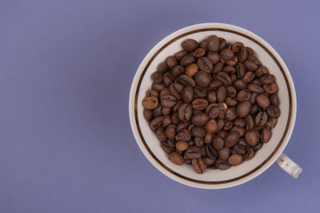 Coffee seeds on a colored background