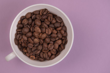 Coffee seeds on a colored background
