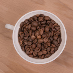 Coffee seeds on a colored background