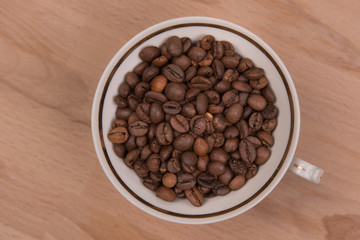 Coffee seeds on a colored background