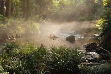 朝日と朝霧に包まれる白川水源