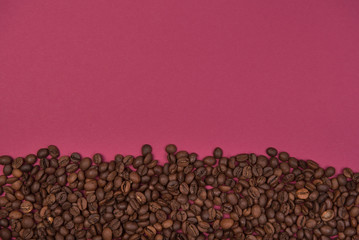 Coffee seeds on a colored background