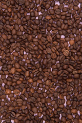 Coffee seeds on a colored background
