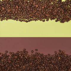 Coffee seeds on a colored background
