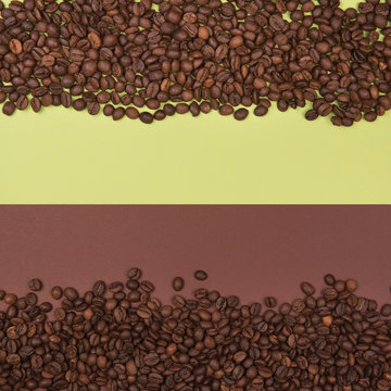 Coffee seeds on a colored background © Jakub Kowalski