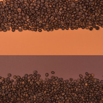 Coffee seeds on a colored background © Jakub Kowalski