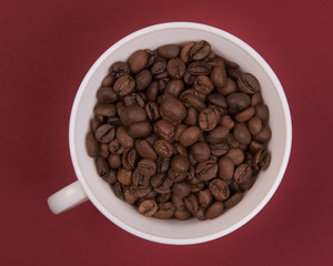 Coffee seeds on a colored background
