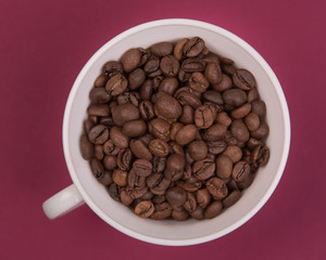 Coffee seeds on a colored background