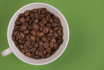Coffee seeds on a colored background
