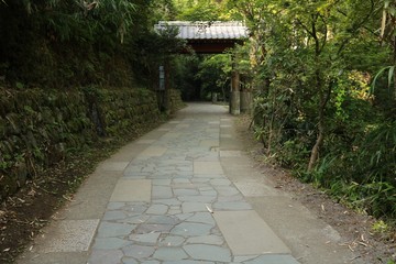 石畳の通路がある白川水源の風景