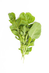 Fresh rucola leaves isolated on the white background
