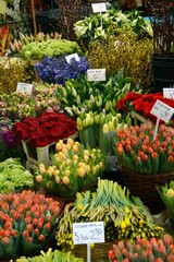 tulips in bloemenmarkt (Amsterdam)