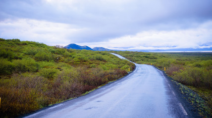 Islandia carretera con curvas hacia el horizonte