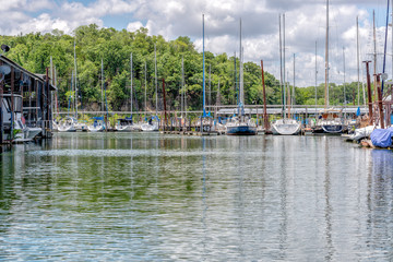 Fototapeta na wymiar Sailboats moored in a marina under partly sunny skies against tree lined backdrop