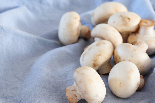 Champignons On Light Blue Kitchen Cloth