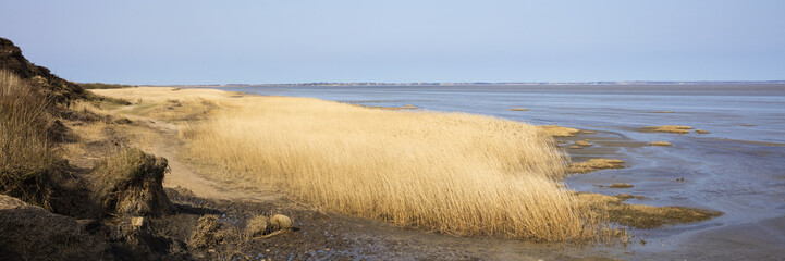 Nationalpark Scheswig-Holsteinisches Wattenmeer, Morsum,  Sylt, Nordfriesische Insel,...