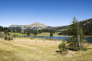 Lauenensee