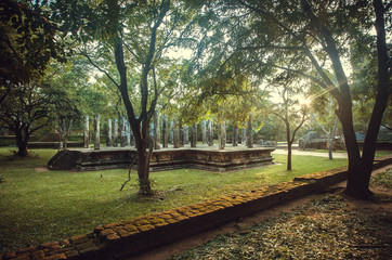 Fototapeta premium Abandoned temple of Buddha in ancient city Polonnaruwa. Forest with 12th century columns, Sri Lanka. UNESCO World heritage Site