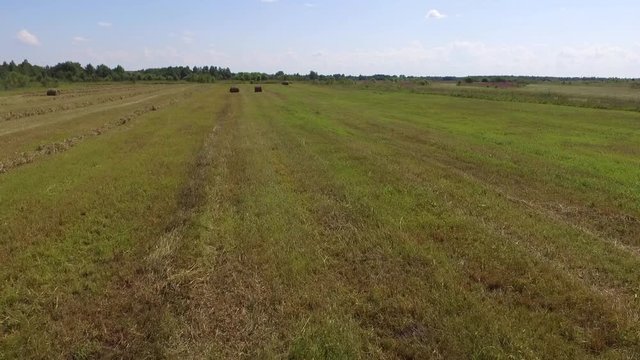 The view from the top over the fields with haystacks. Harvesting and mowing of grass for livestock feeding. 