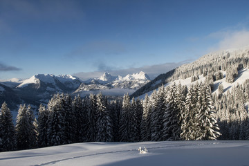 Morgenstimmung &uuml;ber dem Saanenland