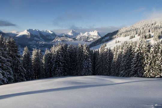 Morgenstimmung &uuml;ber dem Saanenland