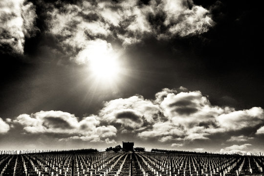 California Sun