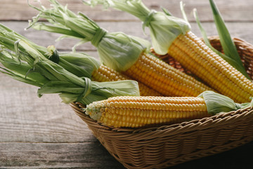 close up view of raw corn cobs in basket on wooden surface