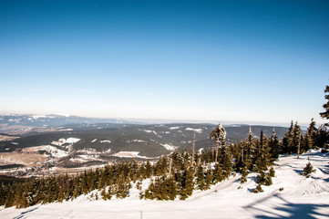 Winter panorama