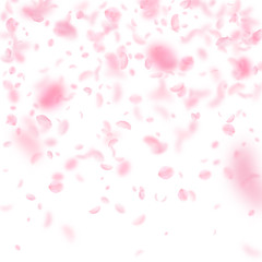 Fototapeta na wymiar Sakura petals falling down. Romantic pink flowers gradient. Flying petals on white square background