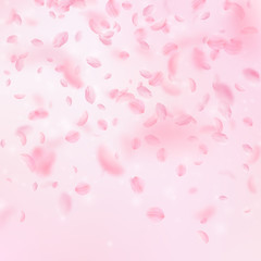 Sakura petals falling down. Romantic pink flowers gradient. Flying petals on pink square background.