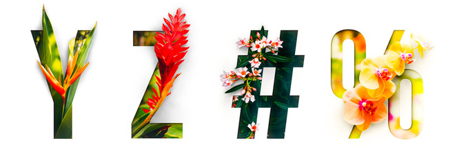 Flower font Alphabet y, z, #, %, made of Real alive flowers with Precious paper cut shape of...