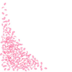 Sakura petals falling down. Romantic pink silky small flowers. Thick flying cherry petals. Bottom le