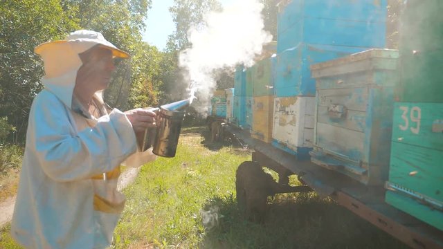 bee-maker beekeeper man working of a smoke pipe beeper smoker device for repelling evil bees. slow motion video. apiary. beekeeping concept agriculture bee lifestyle