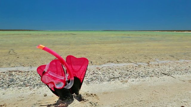 Close-up of scuba mask with fins in pink color on the sand of tropical natural pool of Little Lagoon in Shark Bay, Denham, Western Australia. Copy space with blue sky. Summer water sport.
