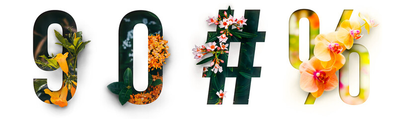 Flowers number 9, 0, #, %, made of Real alive flower with Precious paper cut shape of number. Collection of brilliant flora number for your unique decoration  in spring, summer or several concept idea