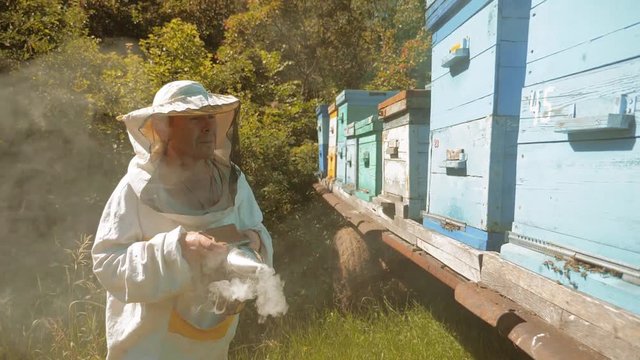 the beekeeper working in the apiary bees fly swarm multi colored beehive slow motion video. bee-maker beekeeper man working of a lifestyle smoke pipe beeper wooden hives smoker device for repelling
