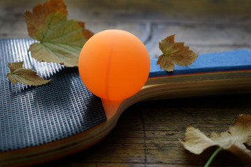 Ping Pong
